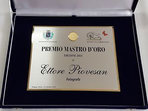 targa premio in silver plated con medaglia in oro 750 con grafica e testi stampati completa di astuccio in velluto blu